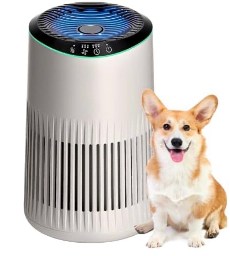 Air Purifier Promo FCGAOFNVh